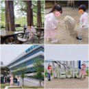 굴렁쇠할인마트 | 5월 연휴 아기랑 양평여행 코스 추천: 양평양떼목장, 어린이도서관, 백세해장국, 두물머리 연핫도그...