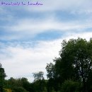 정원파크 이미지