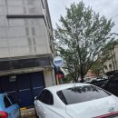 청년피자 교하신도시점 이미지