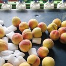 지희농장 이미지