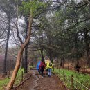 만남의광장(좌) 이미지