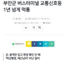 부안군 버스터미널 교통신호등 1년 넘게 먹통 이미지