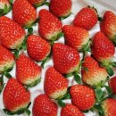 김영자농장 이미지