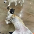 큐티