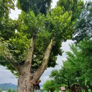 기북초등학교 이미지