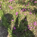 명문사 - 안동시 제비원로 166 | 🌼🌸4월의 달로그_2🌸🌼