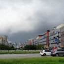 소담한약국 이미지