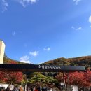 나들이숲 화장실 | 경기도 광주 | 단풍 구경 나들이🍁 화담숲 후기~♡