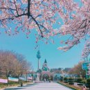 두류공원 | 대구 벚꽃 명소 장단점 총정리 이월드 두류공원 후기