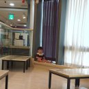 파파스토리노원점 네이버블로그