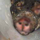 여울동물병원 이미지