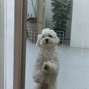 더 네일리 이미지