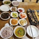 정든식당 티스토리