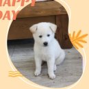 행복이 있는 정철학 이미지