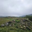 연천삼곶리돌무지무덤 | 연천 삼곶리돌무지무덤과 뽕나무 보호수