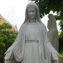 단아컴퍼니 이미지