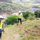 산림조합 이미지