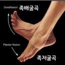 프로 팰리스 짐 이미지