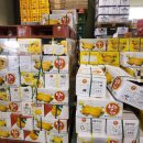 반딧불청과 이미지