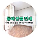 11번가부동산공인중개사사무소 이미지
