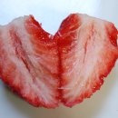 딸기우유 카카오 검색결과