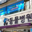 수정동물병원 이미지