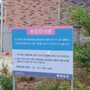 동평농장 이미지