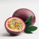 두리농장 이미지