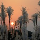 금호강3 이미지