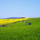 인촌농장 이미지