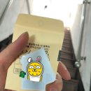 대지사진관 네이버블로그