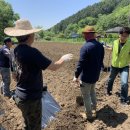 NH 농협 앞 이미지