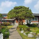 소나무 풍경 이미지