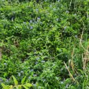 속초롯데 리조트 이미지