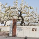 배나무목장 이미지