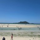 마중펜션 | [제주펜션] 바다가 내 품에! 유리정원 카페와 넓은 잔디밭이 매력적인 '제주마중펜션' 후기 💙