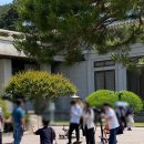 드림태권도 1관 | 엄마랑 종로 나들이 밥먹고 카페가고 ~ (feat. 청와대 관람)