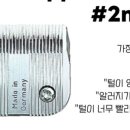 골골탬버린클럽 이미지