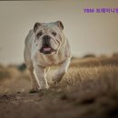 와이비엠영어교습소 - 부천시 소사구 소안로 10 | 와이비엠영어교습소