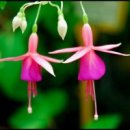 여름이야 이미지