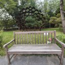 순천향로 이미지