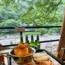 단양연화 | 단양군 애견동반맛집 TOP 2 비교 강아지와 함께 즐기기!