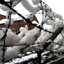 가락고등학교(내) 이미지