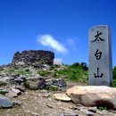 태백산약국 이미지