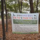 옹기골근린공원 이미지