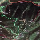 서산종로약국 Daum카페