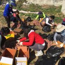 줌마렐라 이미지