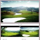 타니스테이 이미지