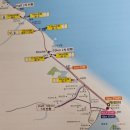 바다요정 | 2025 경포마라톤 응원요정 참가후기