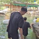 황토향기민박 이미지